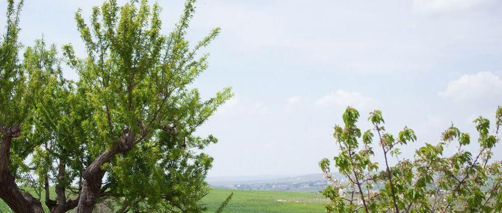 Masseria La Meridiana アルタムラ エクステリア 写真